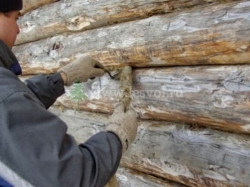 Конопатка сруба в набор