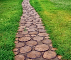 Садовая дорожка из спилов деревьев