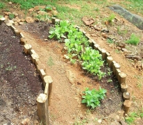 Устройство террас из дерева