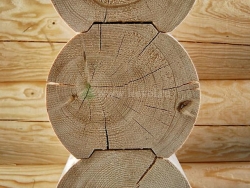 Оцилиндрованное бревно