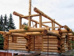 Деревянный дом из бревна