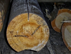 Оцилиндрованное бревно