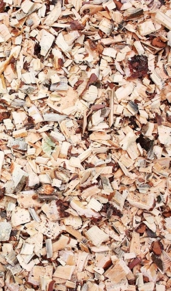 Щепа на выходе щепорубительной машины